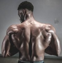 BT1 - Muscle Mass and Obesity