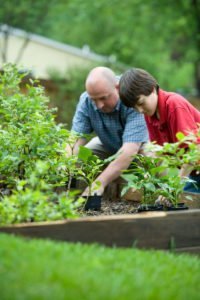 Health & Lifestyle Hobbies - Gardening