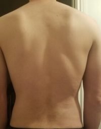 The Four Body Types Research Participant 298 - Fellow One Research Free Body Type Shape Quiz Calculator - Stephanne Leblanc Body Type Two