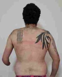 Body Type Two - Fellow One Research Free Body Type Shape Quiz Calculator, The Four Body Types Research Participant 345