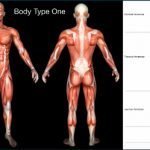 Insights from Gnosis: What Is My Body Type? Genetics/DNA and The Four (4) Body Types