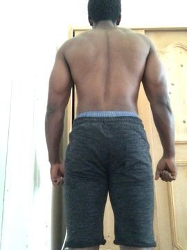 The Four (4) Body Types-Body Type Quiz (Male/Man/Men) Results 858, Body Type One (BT1) - Fellow One Research Participant Test