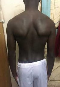 Body Type One (BT1), Body Type Test/Quiz (Man/Male) Results 849 - Fellow One Research Participant, The Four Body Types