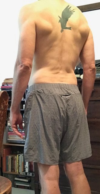 Body Type Test (Quiz) Results 853 – Body Type One (BT1) Male (Man), Generation X