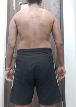 The Four Body Types, Body Type Quiz (Male/Man/Men) Results 915 - Body Type Two (BT2), Fellow One Research Participant Test