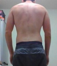 Body Type Two (BT2), Body Type Test/Quiz (Man/Male/Men) Results 972 - Fellow One Research, The Four Body Types