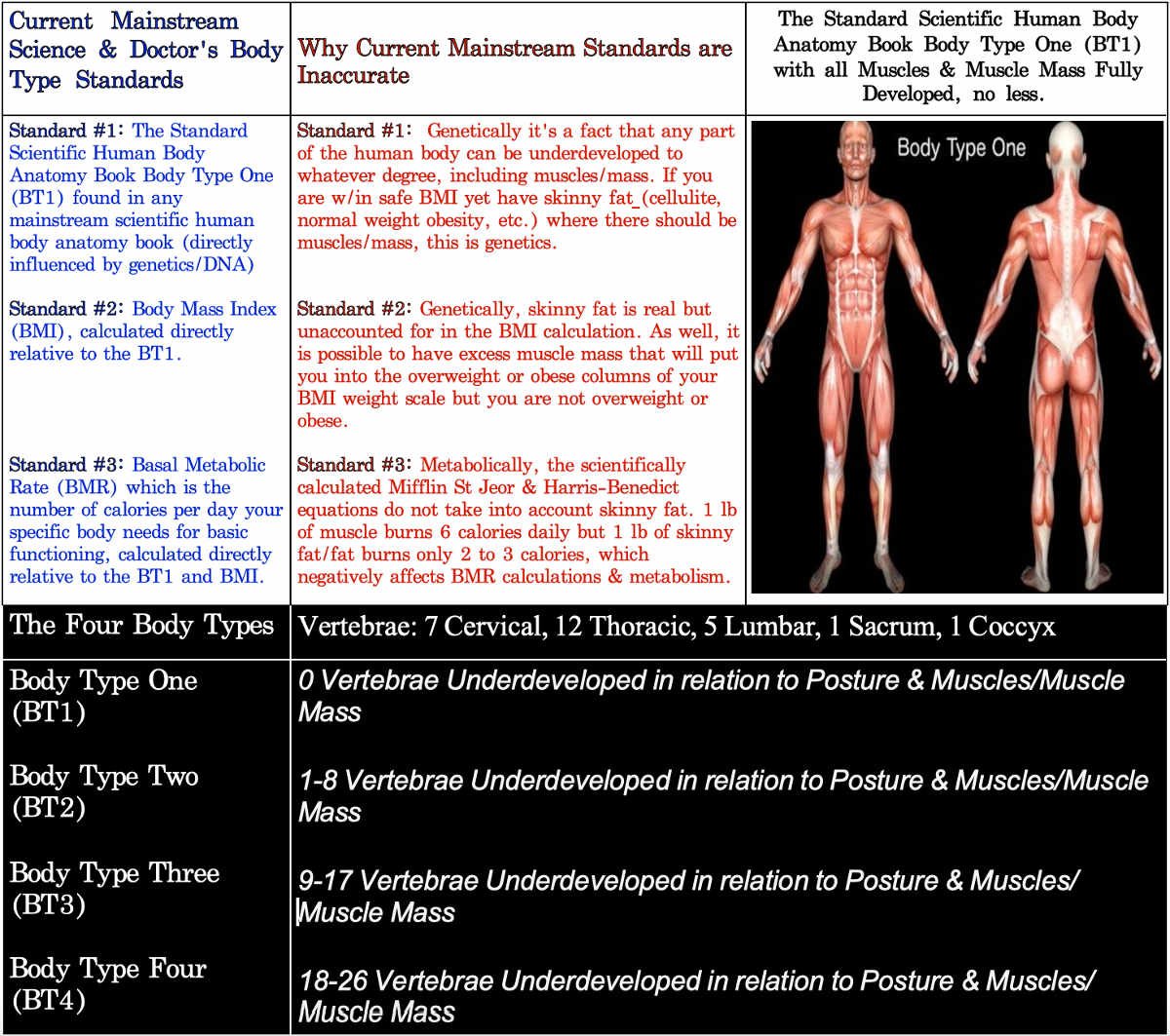 Fellow One Research, Body Type Standards for The Four Body Types & Body Type Science