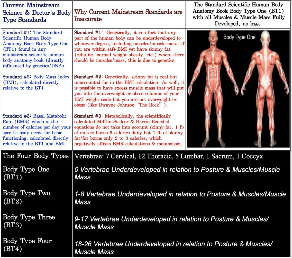 Body Type Science, Standards & The Four Body Types - Fellow One Research