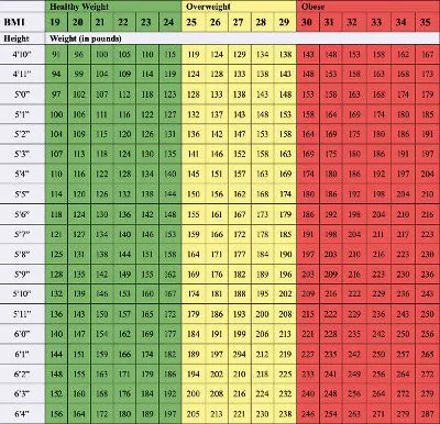 The Paul Croswell Audio Experience - Body Mass Index (BMI) Weight Scale