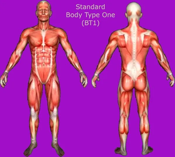 Different Female Body Types – What Is My Body Type According to Science?