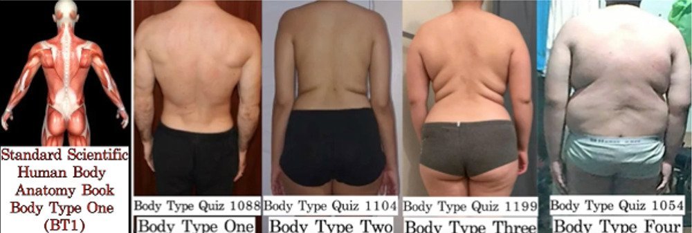Celebrity Beyonce Body Type Two Shape Figure - The Four Body Types, Fellow One Research
