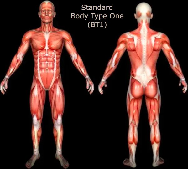 Body Type Science Research Data