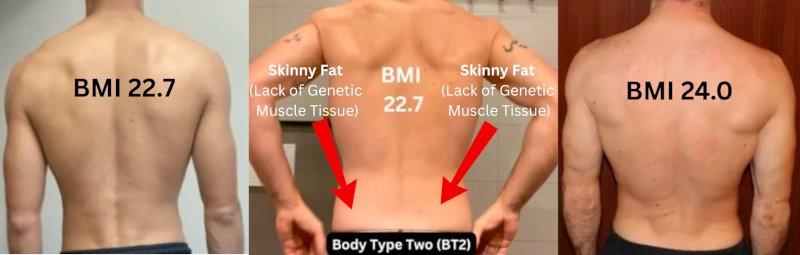Skinny Fat Science
